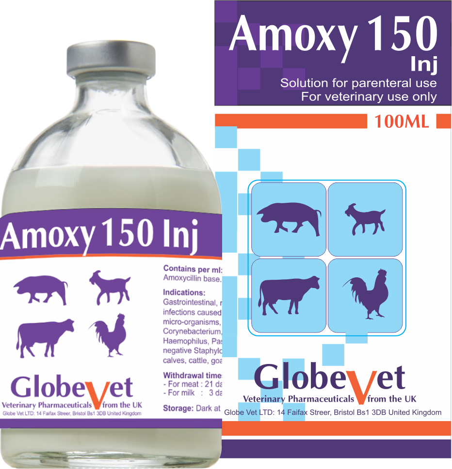 AMOXY 150 INJ - Special treatment for respiratory and digestive diseases