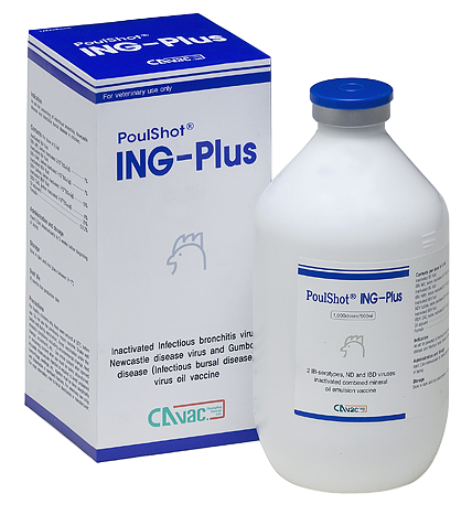 POULSHOT ING-PLUS