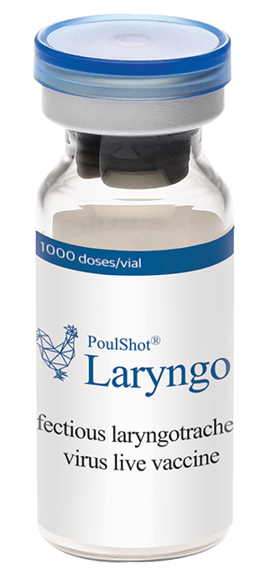 POULSHOT LARYNGO