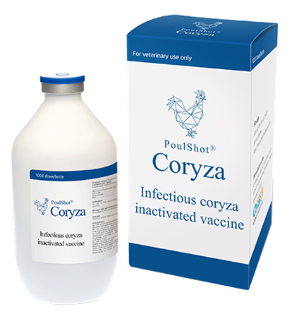 POULSHOT CORYZA - Phòng bệnh sổ mũi truyền nhiễm ( Coryza) trên gà.