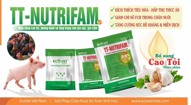 TT NUTRIFAM S - MEN CAO TỎI, PHÒNG BỆNH VÀ TĂNG TRỌNG CHO GIA SÚC, GIA CẦM