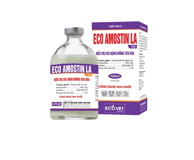 ECO AMOSTIN LA - Treatment of gastrointestinal diseases