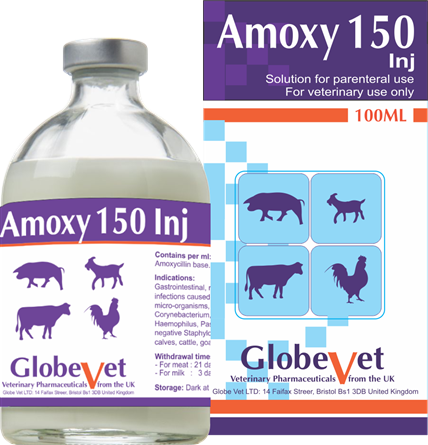 AMOXY 150 INJ - Đặc trị bệnh đường hô hấp, tiêu hóa