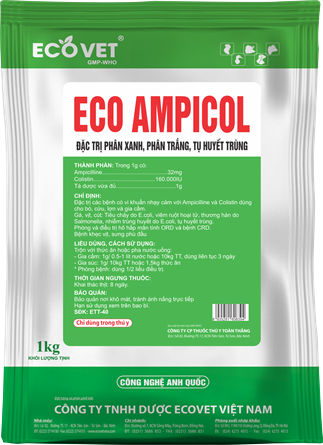 ECO AMPICOL - Đặc trị phân xanh, phân trắng, tụ huyết trùng.