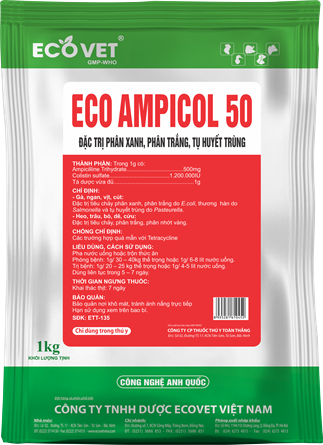 ECO AMPICOL 50 - Đặc trị tụ huyết trùng, phân xanh, phân trắng