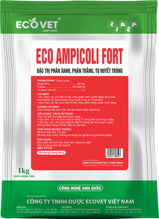 ECO AMPICOLI FORT - Đặc trị phân xanh, phân trắng, tụ huyết trùng