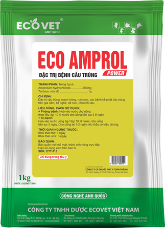 ECO AMPROL POWER - Giảm tối ưu cho bệnh cầu trùng & bảo vệ hệ đường ruột