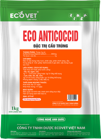 ECO ANTICOCCID - Đặc trị cầu trùng