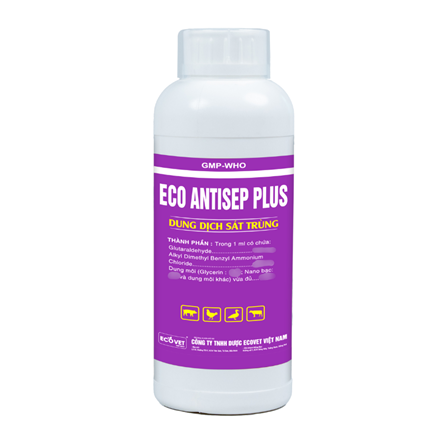 ECO - ANTISEP PLUS - Antiseptic solution.