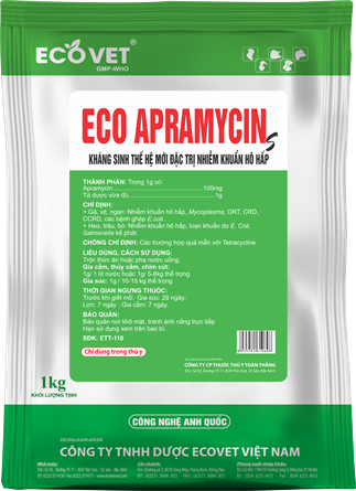 ECO APRAMYCIN S - Kháng sinh thế hệ mới đặc trị nhiễm khuẩn đường hô hấp 