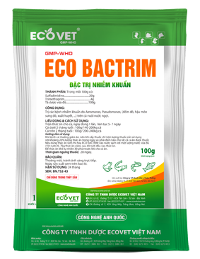 ECO BACTRIM - Đặc trị nhiễm khuẩn