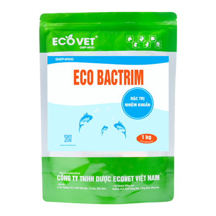 ECO BACTRIM - Special treatment for bacterial infections
