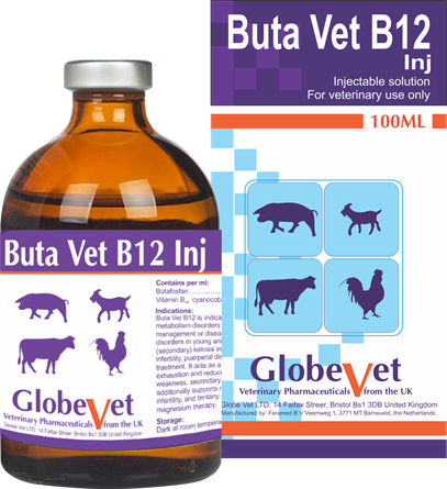 BUTA VET B12 - Stimulate and strengthen metabolism