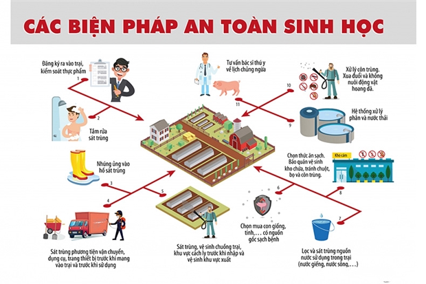 An toàn sinh học trong chăn nuôi sinh thái