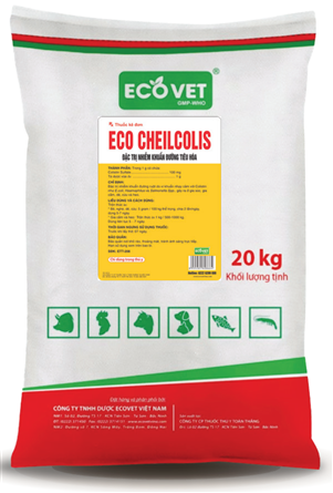 ECO CHEILCOLIS - SPECIALIZED TREATMENT OF DIGESTIVE TRACT INFECTIONS