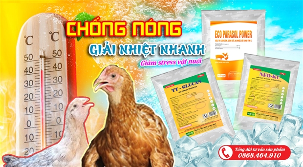 BỘ SẢN PHẨM CHỐNG NÓNG - AN TOÀN TRONG MÙA HÈ !!!