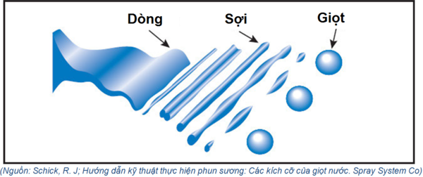 Chủng ngừa bằng phương pháp phun sương: Những vấn đề thường gặp phải trong và sau khi thực hiện