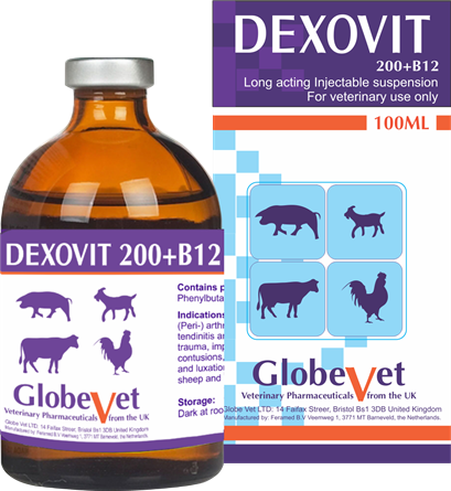 DEXOVIT 200 + B12 -  Phòng và điều trị bệnh thiếu máu, bổ sung B12 cho bê con và lợn con.