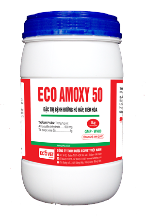 ECO AMOXY 50 - Special treatment for respiratory and digestive diseases