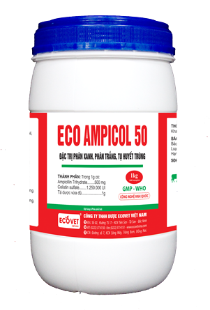 ECO AMPICOL 50 - Special treatment of Pasteurellosis