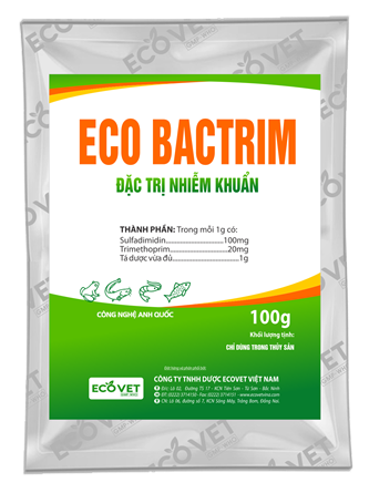 ECO BACTRIM - Special treatment for bacterial infections
