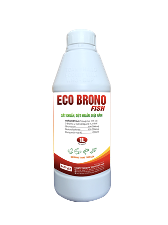 ECO BRONO SHRIMP - Broad spectrum antibacterial and antifungal