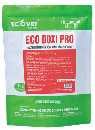 ECO - DOXI PRO - Especially treat bacterial infections of respiratory and digestive diseases.