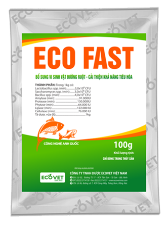 ECO FAST - Supplement intestinal microorganism, improve digestion