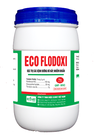 ECO FLODOXI - Đặc trị bệnh nhiễm khuẩn đường hô hấp