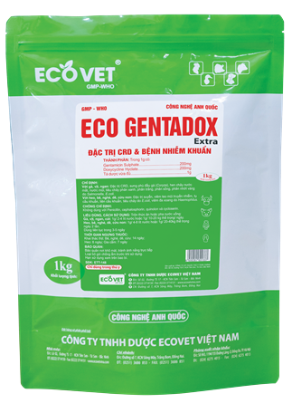 ECO GENTADOX EXTRA - SPECIALIZES IN TREATING CRD AND INFECTIOUS DISEASES.