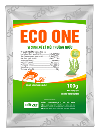 ECO ONE - Intestinal microorganism, improve digestion