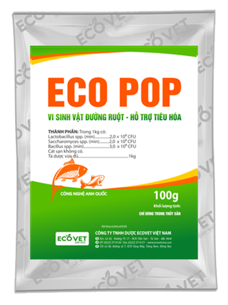 ECO POP - Intestinal microorganism, improve digestion