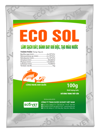 ECO SOL - Clean the bottom, remove toxic gas, create water color