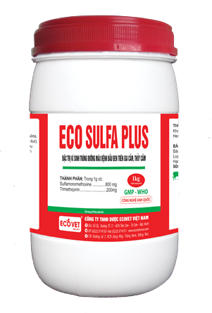 ECO - SULFA PLUS - Special treatment of blood parasites, blackhead disease in poultry and waterfowl.