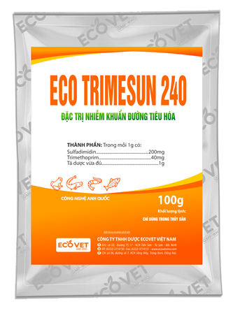  ECO TRIMESUN 240 - Special treatment for gastrointestinal infections.