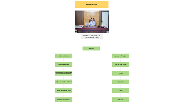 Organization diagram