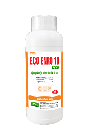 ECO ENRO 10 SOL - Special treatment for digestive and respiratory diseases