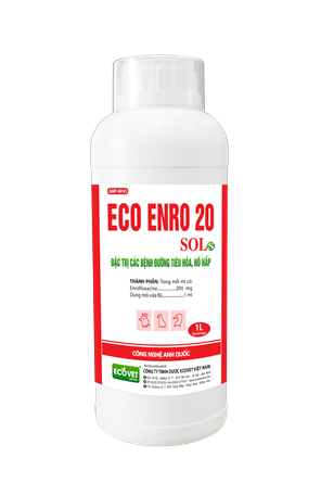 ECO ENRO 20 SOL - Special treatment for digestive and respiratory diseases