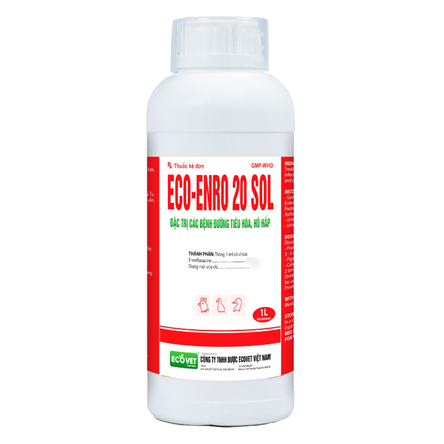 ECO ENRO 20 SOL - Special treatment for digestive and respiratory diseases