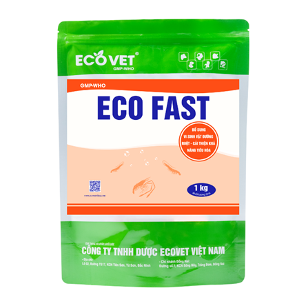ECO FAST - Supplement intestinal microorganism, improve digestion
