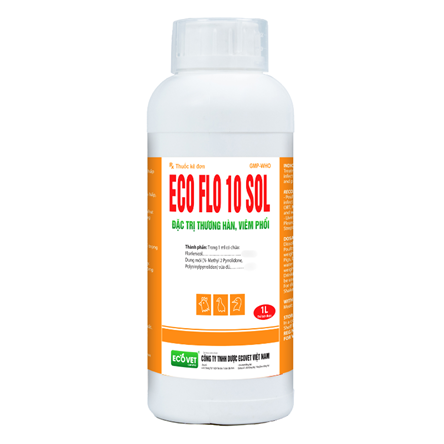 ECO FLO 10 SOL - Special treatment for typhoid pneumonia