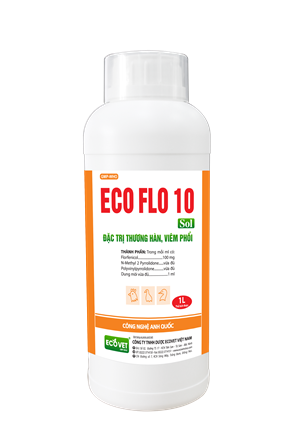 ECO FLO 10 SOL - Special treatment for typhoid pneumonia