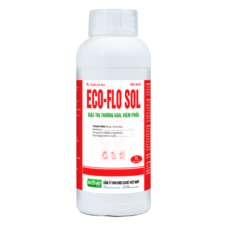 ECO FLO 20 SOL - Special treatment for typhoid pneumonia