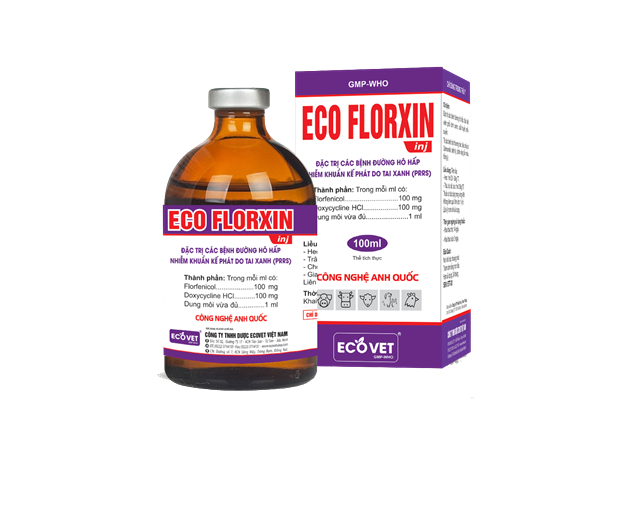 ECO FLORXIN - Đặc trị nhiễm khuẩn đường hô hấp.