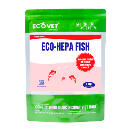 ECO HEPA FISH - Supplement Vitamin C - Amino Acid