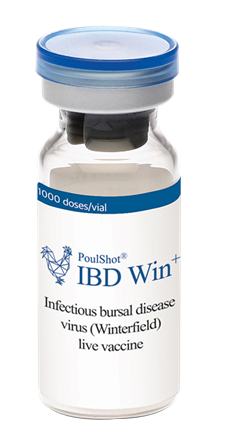 POULSHOT IBD WIN+ - Phòng bệnh Gumboro ( Winterfield 2512)