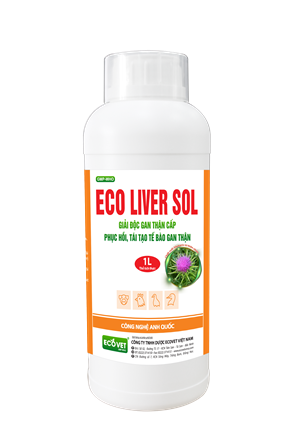 ECO LIVERSOL - SUPPLEMENTARY FEED WITH SORBITOL, VITAMINS, AMINO ACIDS FOR LIVESTOCK AND POULTRY