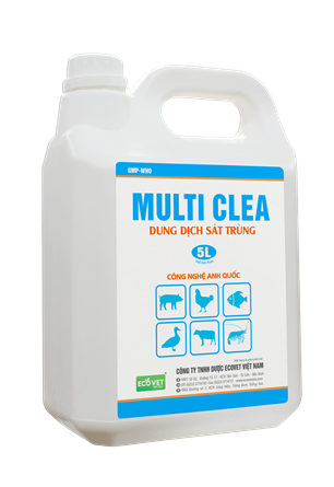 MULTI CLEA - Antiseptic solution.