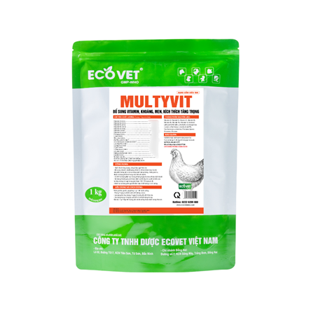MULTYVIT - SUPPLEMENTING VITAMINS, MINERALS, ENZYMES, STIMULATING WEIGHT GAIN