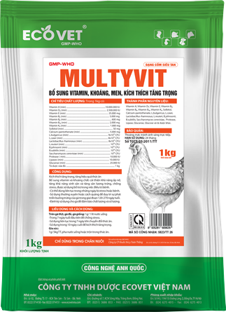 MULTYVIT - SUPPLEMENTING VITAMINS, MINERALS, ENZYMES, STIMULATING WEIGHT GAIN